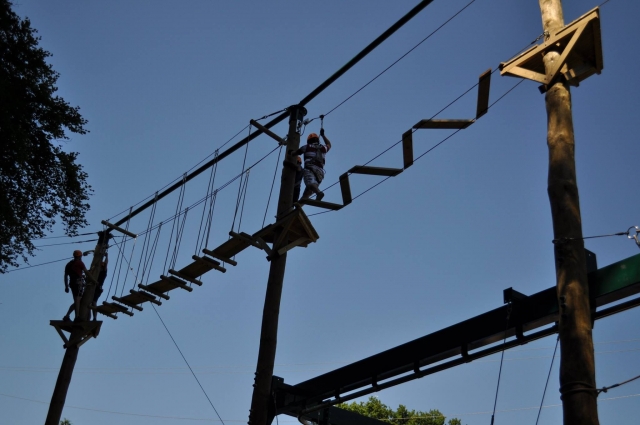  Cordeiros altos no Haigh Woodland Park 