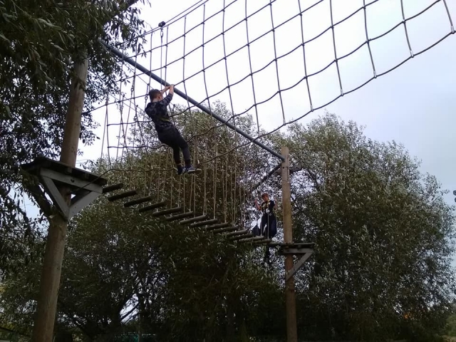 Be brave and explore your skills!