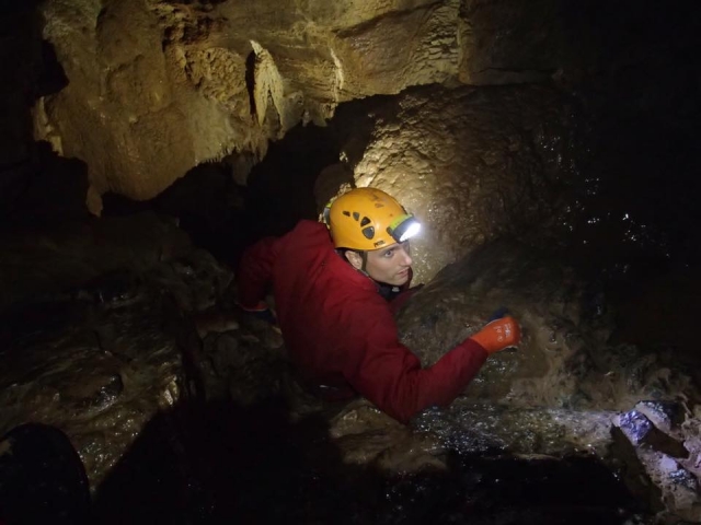  Una opción ideal para Pro CVers 