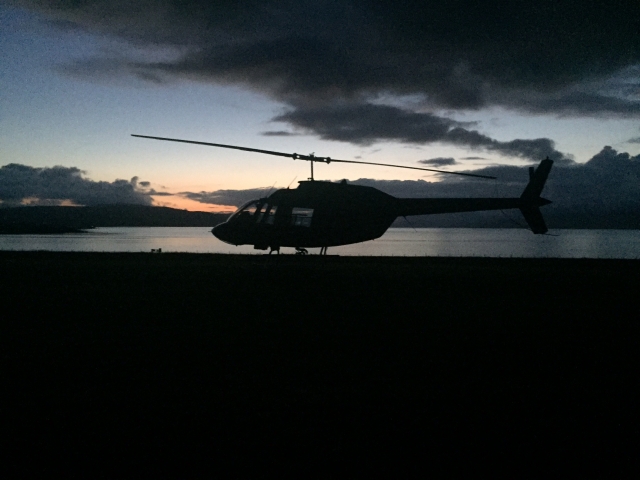 Visit Heliscot today!