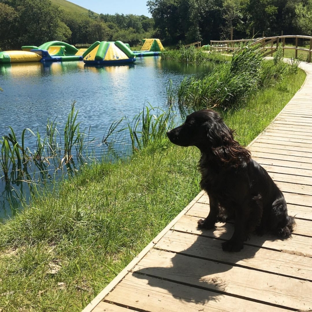  Porta tutti i tuoi cari! 