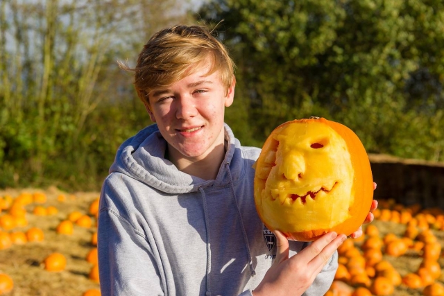  Patches de calabaza en York Maze 