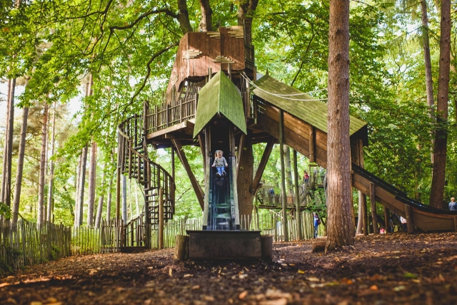  让孩子们尽情享受森林！ 