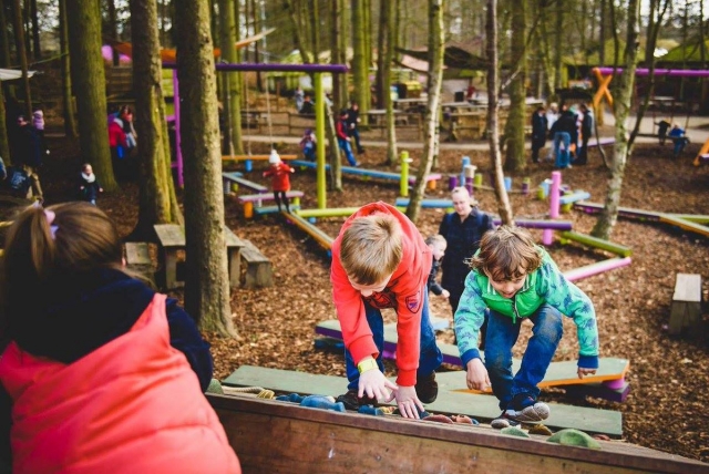  在玩乐的同时锻炼身体 