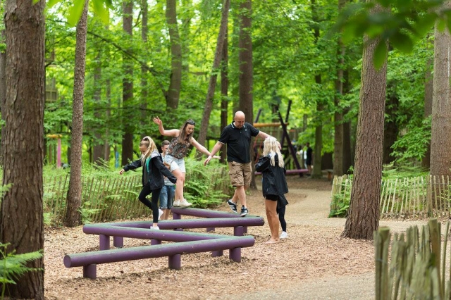  与您的孩子在 Bewilderwood 享受一整天的乐趣 