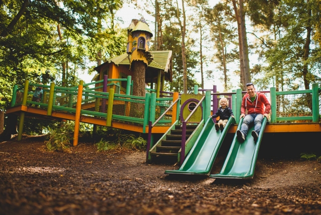  与您的孩子一起享受！ 