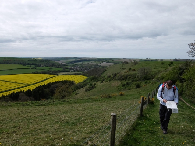  Hicking con High Point Holidays 