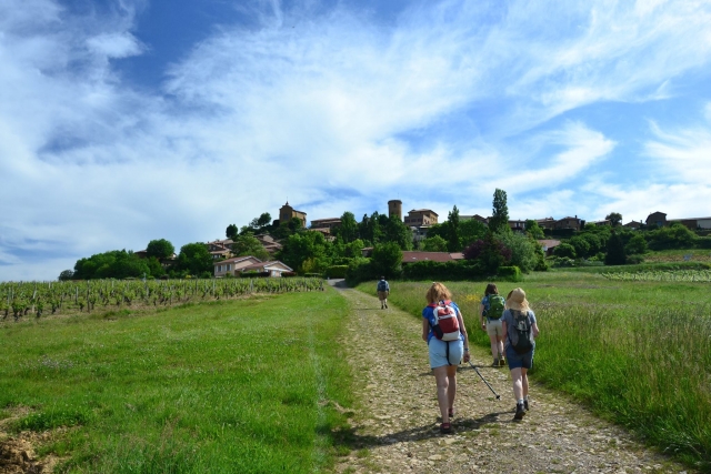  ¡Opciones de nivel fácil también!  