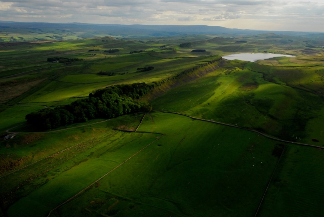 Fly over green pastures