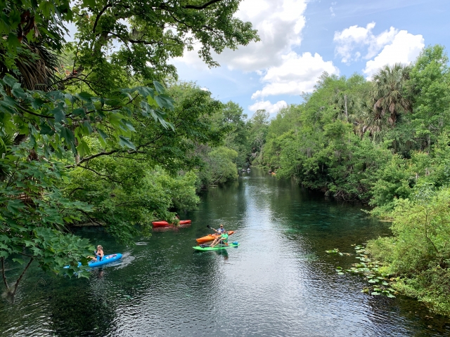  Kayak in gruppo 