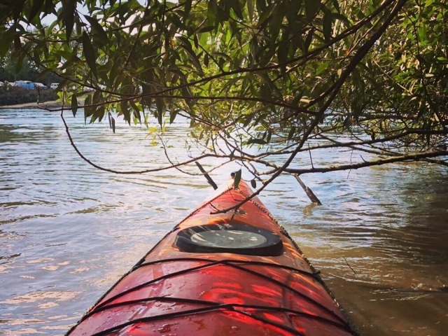 Kayak 