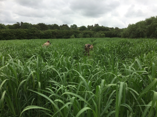  Tolle Orte, um Spaß zu haben 