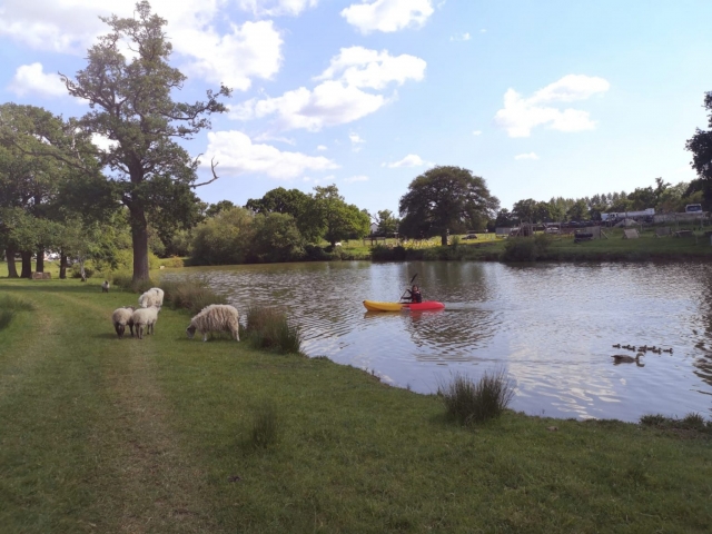 Paddling around 