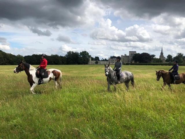  Horse Trekking con amigos 