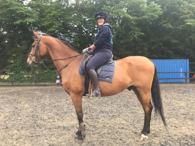Learn how to ride a horse
