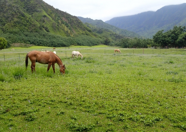  Il campo dell'avventura
