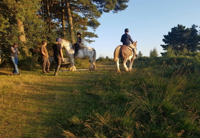 Explorando a Floresta Ashdown 