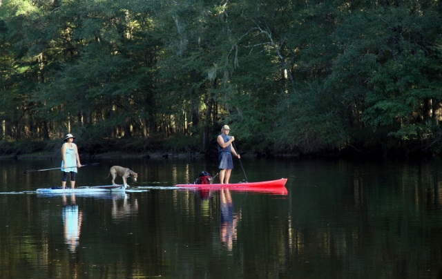  Mann und Frau über roten und blauen Boards lernen Paddleboarding 
