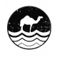Camel Ski School 