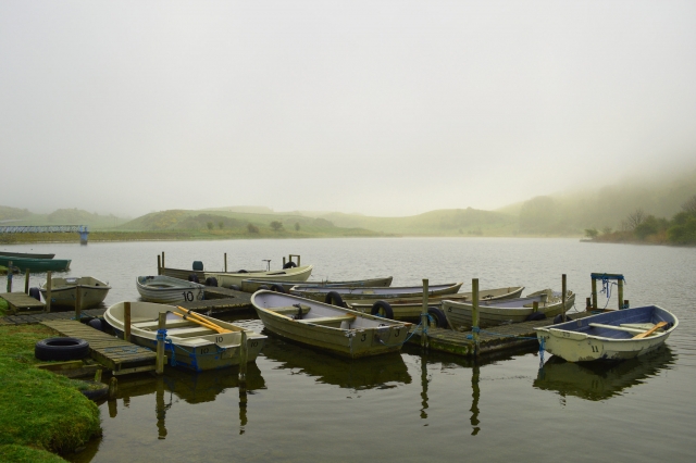  Noleggio barche da pesca 