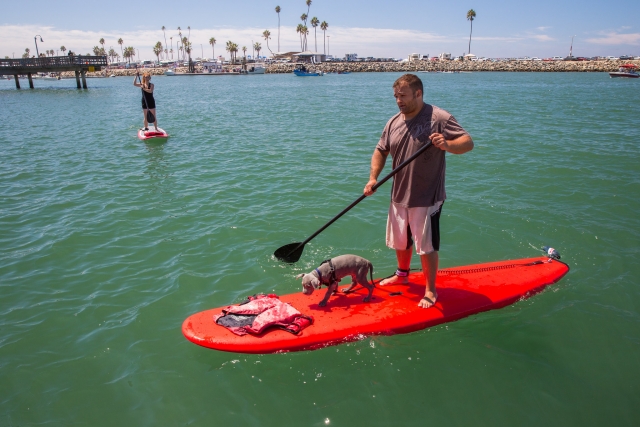  Homme faisant du paddle avec son chien sur un paddle rouge 