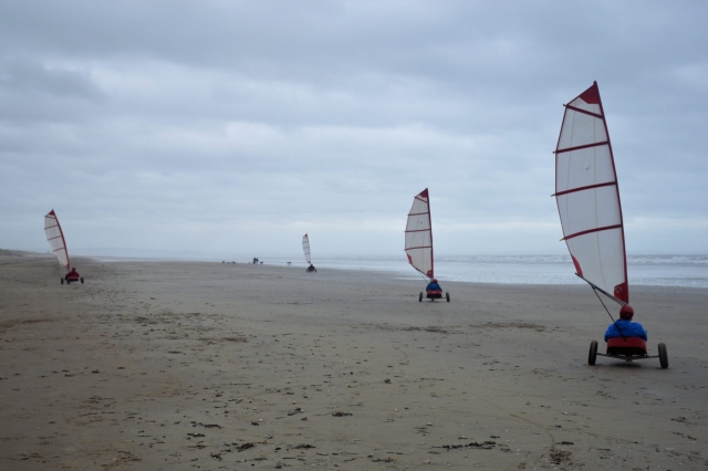 Unique and different adventures