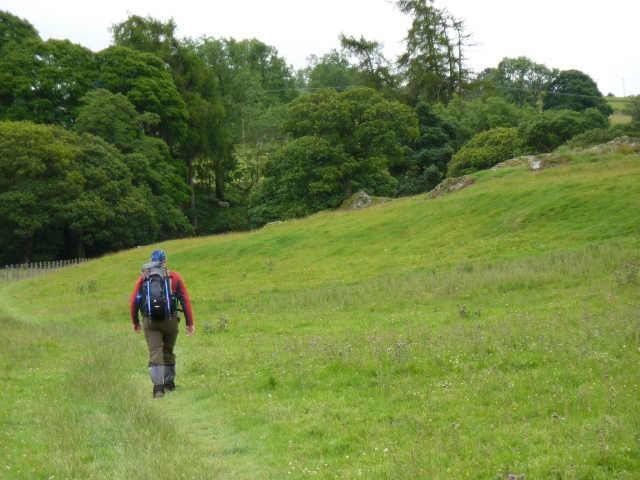 Indo para a floresta