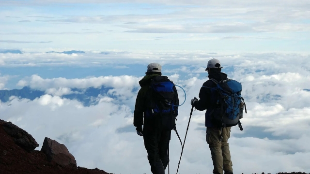 Torne -se um com a natureza