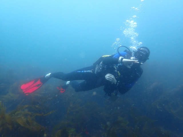 Exploring the Ocean
