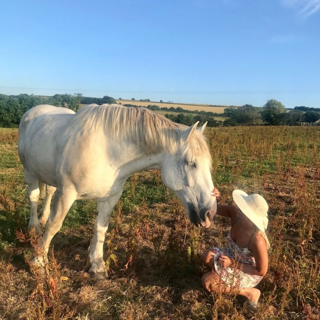  en los caballos son amigables 