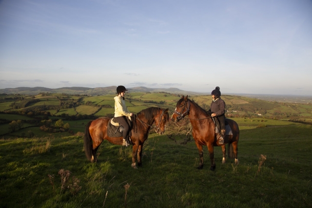Come and relax with our horses