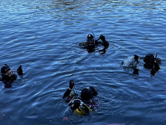 Enjoy a day with a diving session