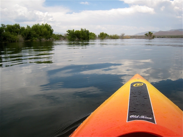 Experience an unforgettable adventure