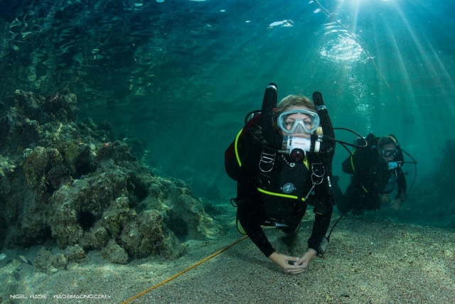 Learn how to scuba dive
