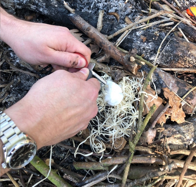  Activités de survie 
