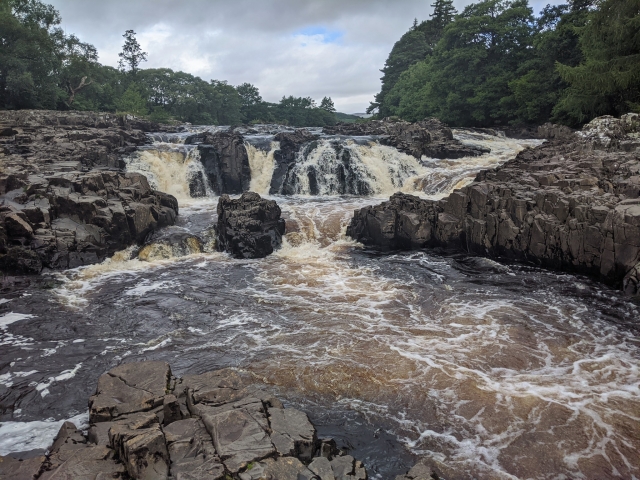 See natural sights