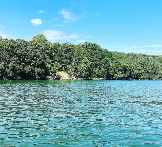 Stunning river views
