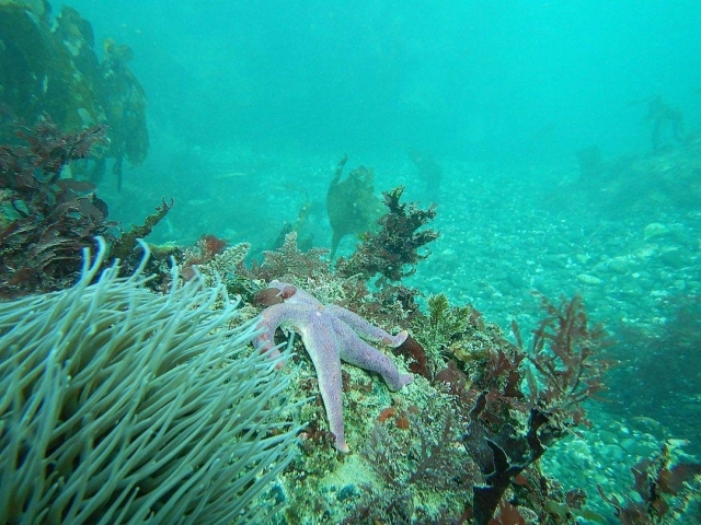  Explore el mar 