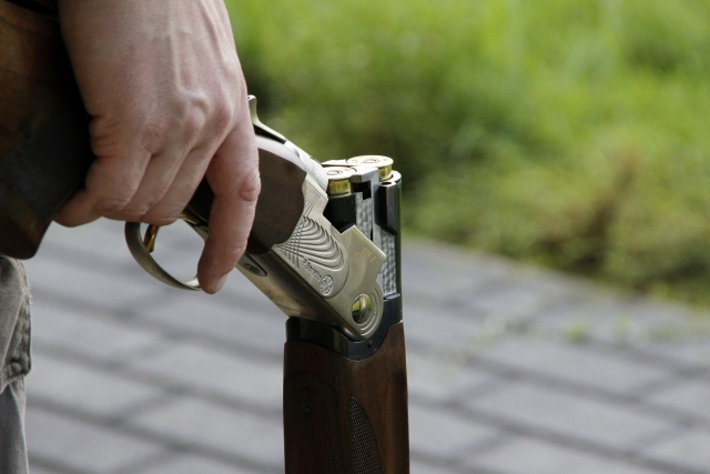  Todos os tipos de armas de fogo