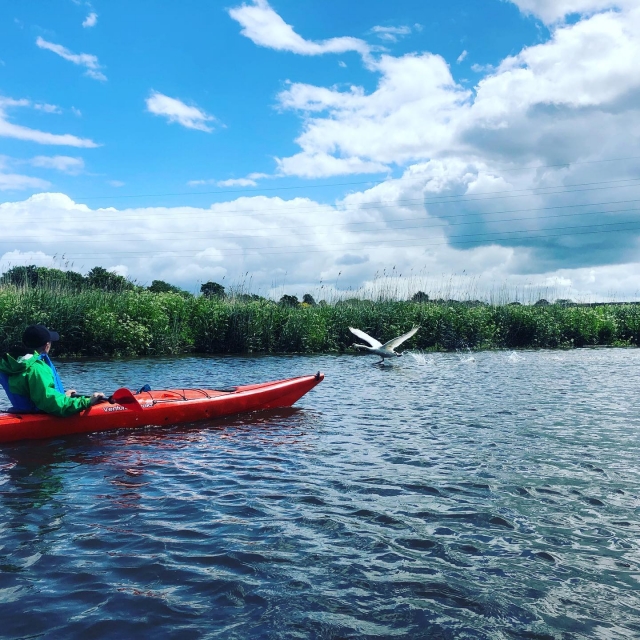  Aprenda a remar