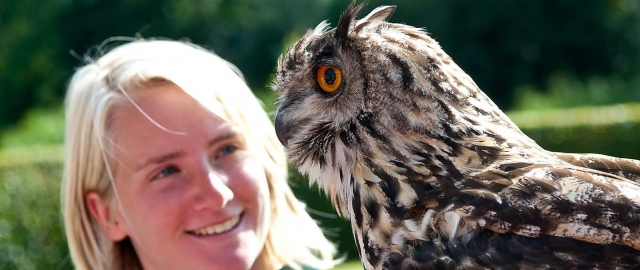  Incontra i nostri gufi 