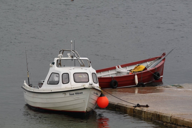 Down by the harbour