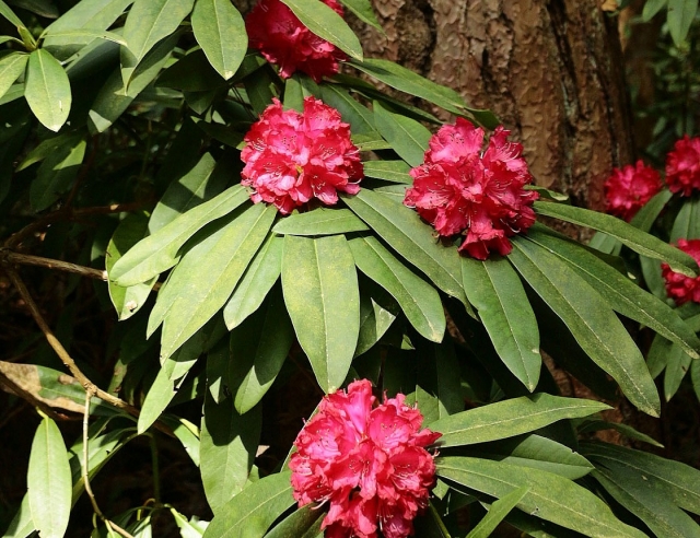 A day in the outdoors