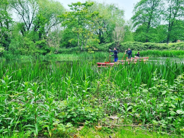 The river Wensum