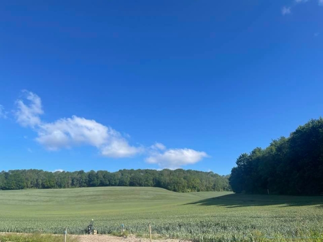  Open Skies sobre el terreno de tiro -9999- Planty of Clays 