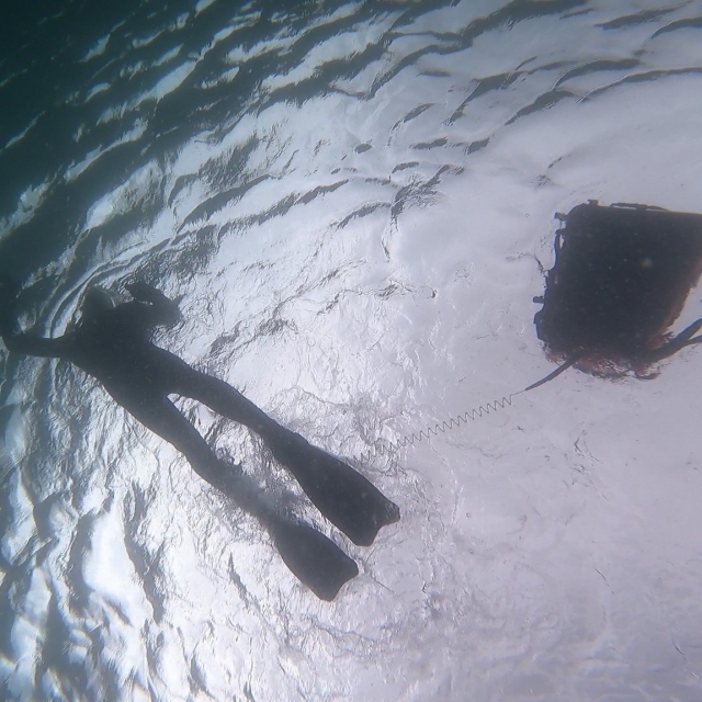  Snorkeling in Scozia 