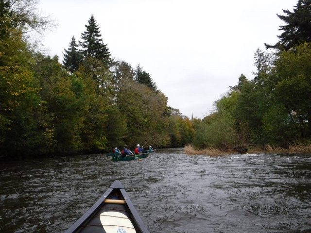 Exploration de la rivière 
