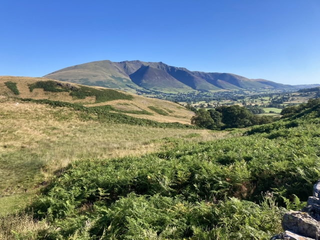 Lake District Landscpaes