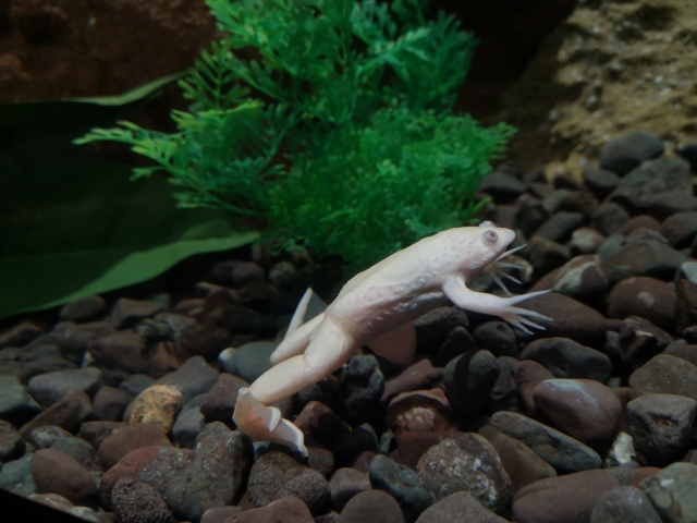  北爱尔兰首屈一指的水族馆 