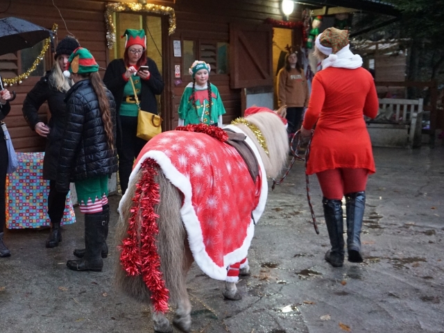  Ponytage und Veranstaltungen in Harmony 